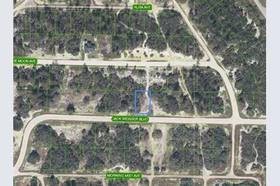 462 Jack Weisser Boulevard, Lake Placid, FL 33852 - Photo 2