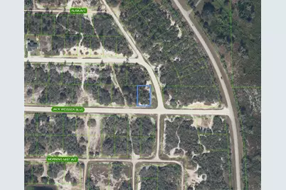 472 Jack Weisser Boulevard, Lake Placid, FL 33852 - Photo 1