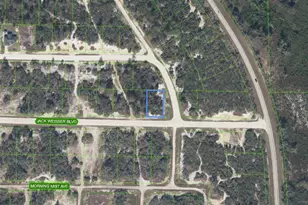 472 Jack Weisser Blvd, Lake Placid, FL 33852 - Photo 1