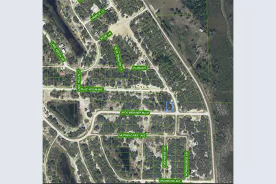 472 Jack Weisser Boulevard, Lake Placid, FL 33852 - Photo 2