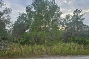 2217 Algonquin Dr, Sebring, FL 33875 - Photo 1