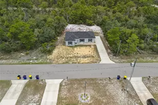107 Elba Dr NE, Lake Placid, FL 33852 - Photo 38