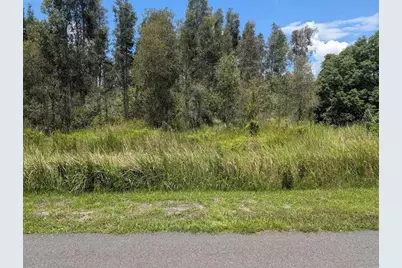 Arborea Drive N, Indian Lake Estates, FL 33855 - Photo 16