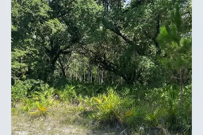 0 Oleander Drive, Indian Lake Estates, FL 33855 - Photo 2