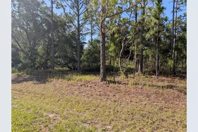 819 & 821 Allamanda Drive, Indian Lake Estates, FL 33855 - Photo 8