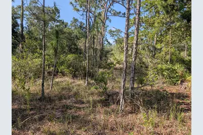 819 & 821 Allamanda Drive, Indian Lake Estates, FL 33855 - Photo 6