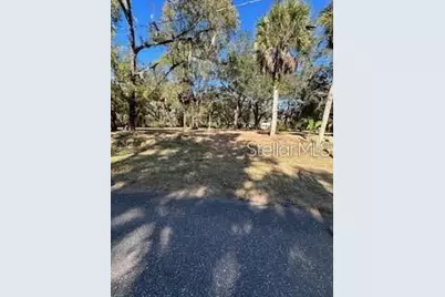 1204 Davies Road, Brandon, FL 33511 - Photo 2