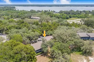 816 Pinewood Ct, Haines City, FL 33844 - Photo 26