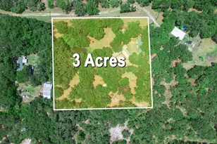 12627 Blackberry Ln, Lake Wales, FL 33898 - Photo 4