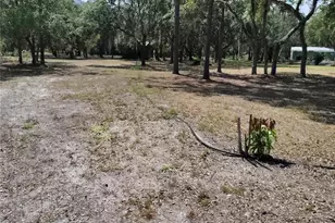 12627 Blackberry Ln, Lake Wales, FL 33898 - Photo 48