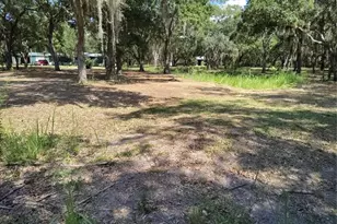 12627 Blackberry Ln, Lake Wales, FL 33898 - Photo 44