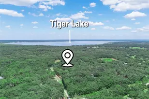 12627 Blackberry Ln, Lake Wales, FL 33898 - Photo 54
