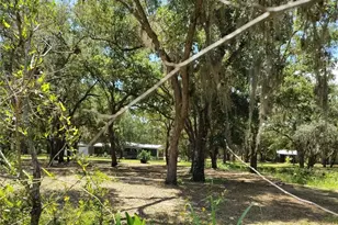 12627 Blackberry Ln, Lake Wales, FL 33898 - Photo 4