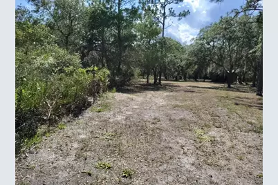 12627 Blackberry Lane, Lake Wales, FL 33898 - Photo 48