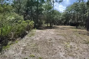 12627 Blackberry Ln, Lake Wales, FL 33898 - Photo 48