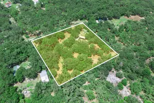 12627 Blackberry Ln, Lake Wales, FL 33898 - Photo 54