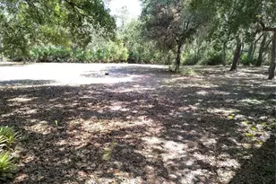 12627 Blackberry Ln, Lake Wales, FL 33898 - Photo 44