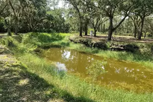 12627 Blackberry Ln, Lake Wales, FL 33898 - Photo 40