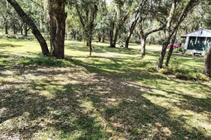12627 Blackberry Ln, Lake Wales, FL 33898 - Photo 46