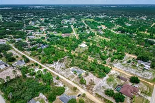 3077 W Scoralick Rd, Avon Park, FL 33825 - Photo 48
