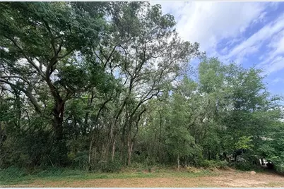 1727 N Berkley Road, Avon Park, FL 33825 - Photo 2