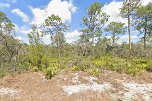 3047 Willow Ave, Lake Placid, FL 33852 - Photo 1