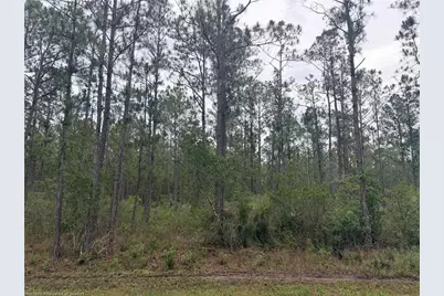 6438 Merrick Drive, Sebring, FL 33872 - Photo 2