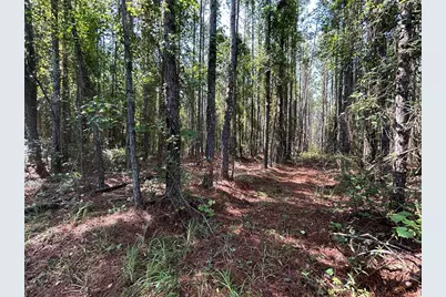 709 Georgetown Denver Road, Crescent City, FL 32112 - Photo 4