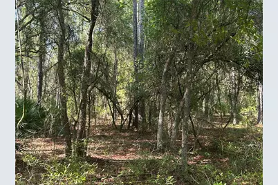 709 Georgetown Denver Road, Crescent City, FL 32112 - Photo 2