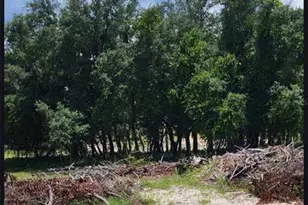 562 Libby Rd, Babson Park, FL 33827 - Photo 40