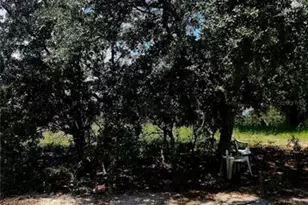 562 Libby Rd, Babson Park, FL 33827 - Photo 26