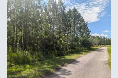 30 Amaryllis Drive, Indian Lake Estates, FL 33855 - Photo 14