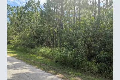 28 & 30 Amaryllis Drive, Indian Lake Estates, FL 33855 - Photo 6