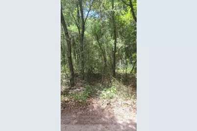 Southwest 156th Place, Dunnellon, FL 34432 - Photo 1