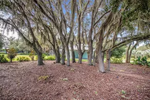 2424 Burns Ave, Lake Wales, FL 33898 - Photo 96