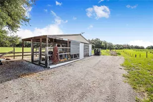 2424 Burns Ave, Lake Wales, FL 33898 - Photo 72