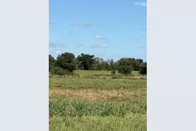 10349 County Road 555, Fort Meade, FL 33841 - Photo 8