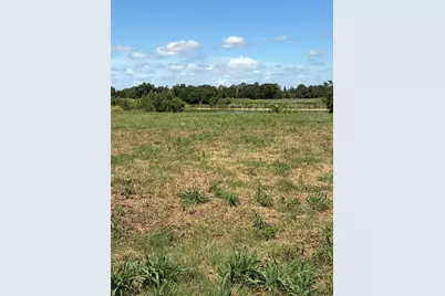 10349 County Road 555, Fort Meade, FL 33841 - Photo 6