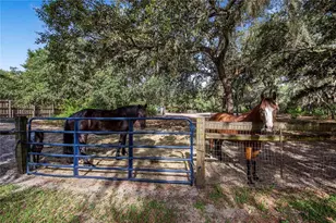 10740 Jim Edwards Rd, Haines City, FL 33844 - Photo 40