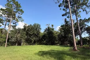 1981 Lemon Dr, Lake Wales, FL 33898 - Photo 14
