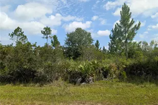 [Address not provided], Indian Lake Estates, FL 33855 - Photo 1