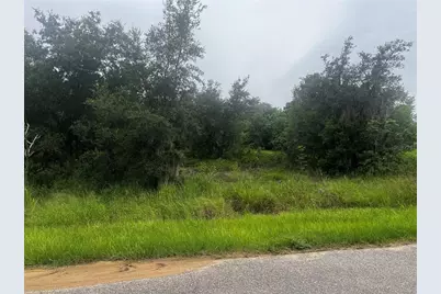 2370 Lake Easy Road, Babson Park, FL 33827 - Photo 4