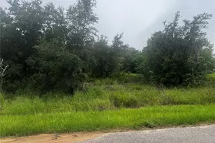 2370 Lake Easy Rd, Babson Park, FL 33827 - Photo 1