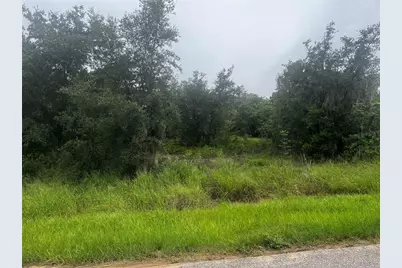2370 Lake Easy Road, Babson Park, FL 33827 - Photo 2