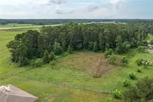 1755 Beth Ln, Winter Haven, FL 33880 - Photo 42