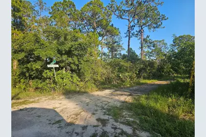 233 Moon Glow Court, Lake Placid, FL 33852 - Photo 10