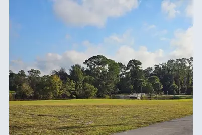 233 Moon Glow Court, Lake Placid, FL 33852 - Photo 4