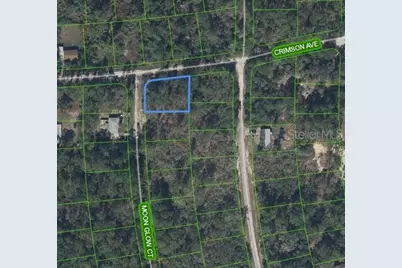 233 Moon Glow Court, Lake Placid, FL 33852 - Photo 2