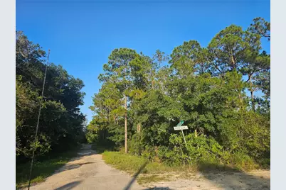 233 Moon Glow Court, Lake Placid, FL 33852 - Photo 8