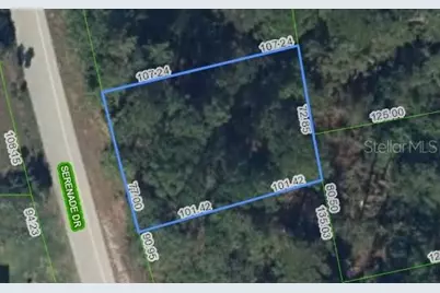 205 Serenade Drive, Lake Placid, FL 33852 - Photo 2